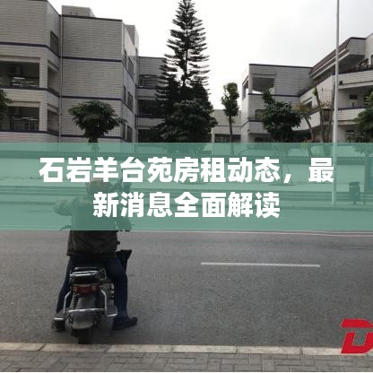 石岩羊台苑房租动态，最新消息全面解读