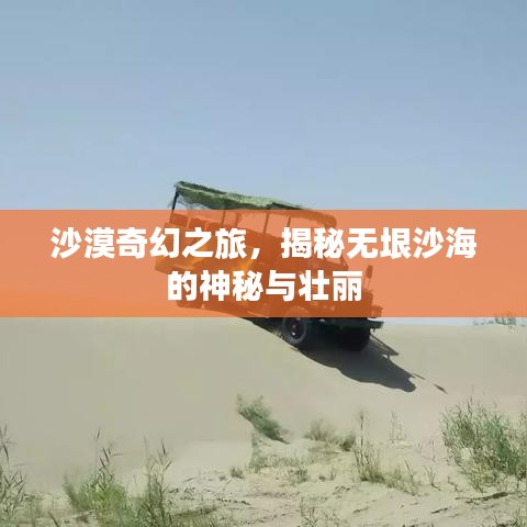 沙漠奇幻之旅，揭秘无垠沙海的神秘与壮丽