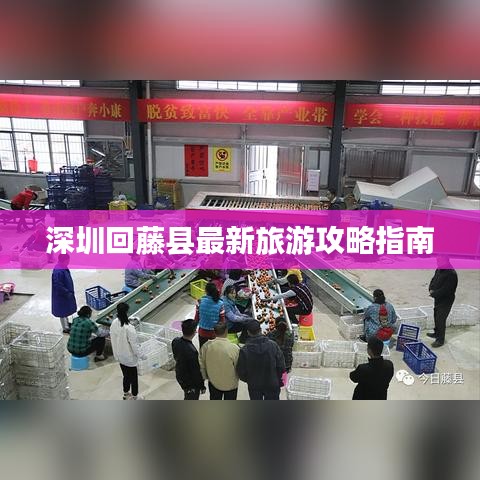 深圳回藤县最新旅游攻略指南