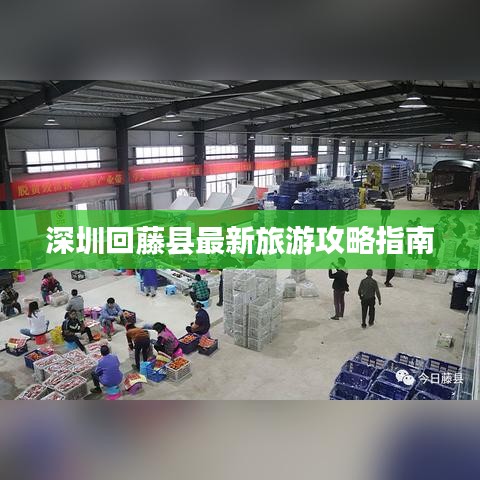深圳回藤县最新旅游攻略指南