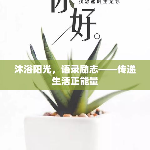 沐浴阳光,语录励志——传递生活正能量