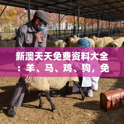 新澳天天免费资料大全：羊、马、鸡、狗，免费公开