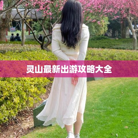 灵山最新出游攻略大全