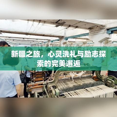 新疆之旅,心灵洗礼与励志探索的完美邂逅