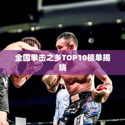 全国拳击之乡TOP10榜单揭晓