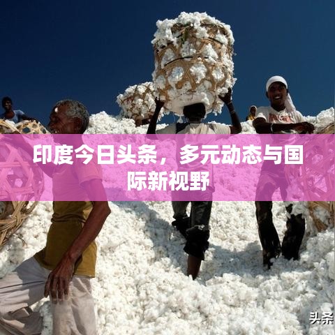 印度今日头条,多元动态与国际新视野