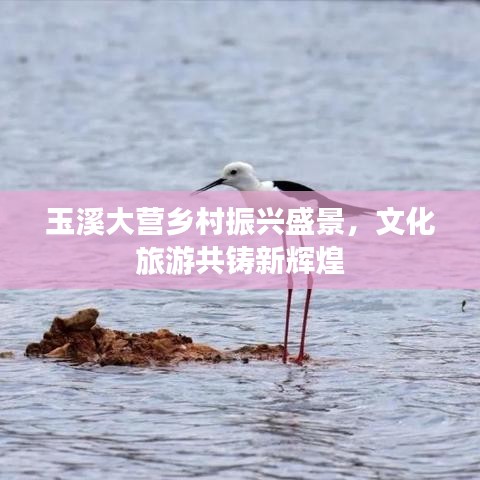 玉溪大营乡村振兴盛景，文化旅游共铸新辉煌