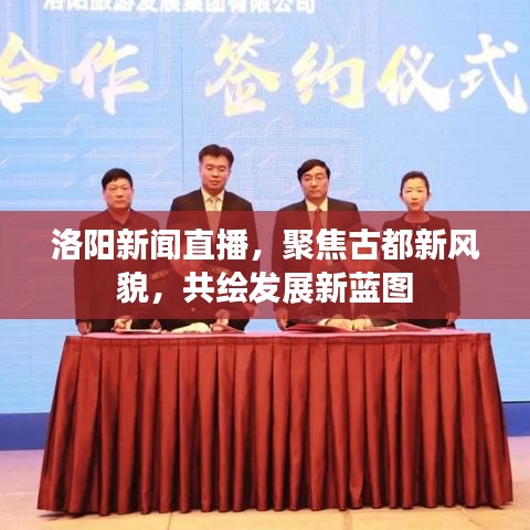 洛阳新闻直播，聚焦古都新风貌，共绘发展新蓝图