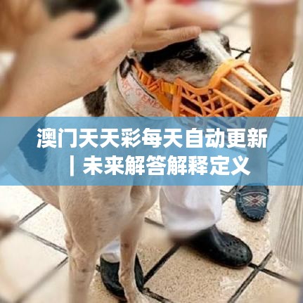 澳门天天彩每天自动更新｜未来解答解释定义
