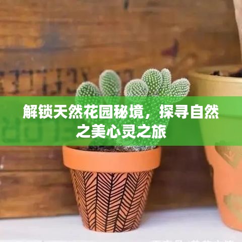 解锁天然花园秘境,探寻自然之美心灵之旅