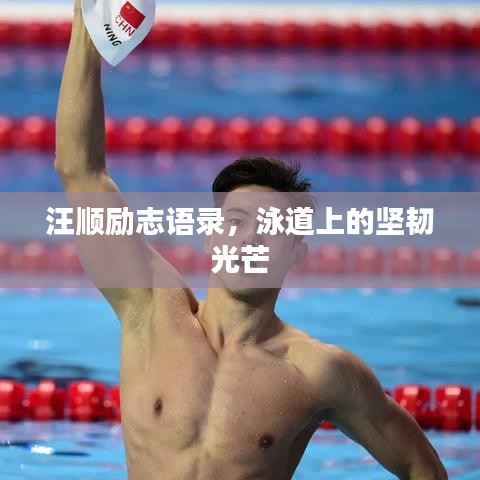 汪顺励志语录，泳道上的坚韧光芒