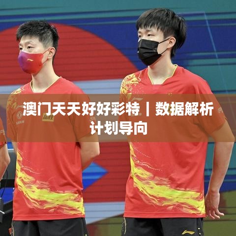 澳门天天好好彩特｜数据解析计划导向