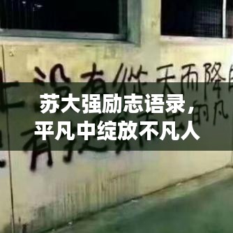 苏大强励志语录，平凡中绽放不凡人生光芒