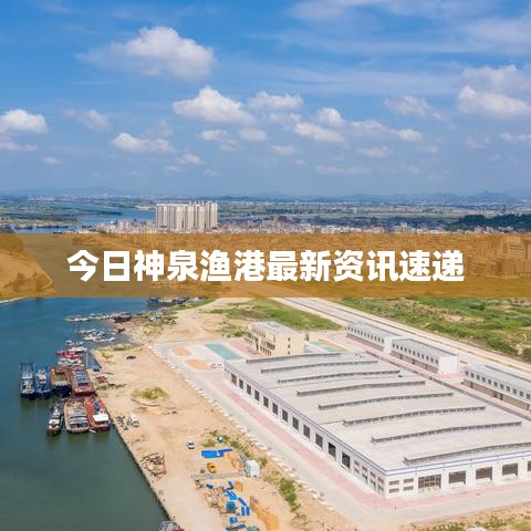 今日神泉渔港最新资讯速递