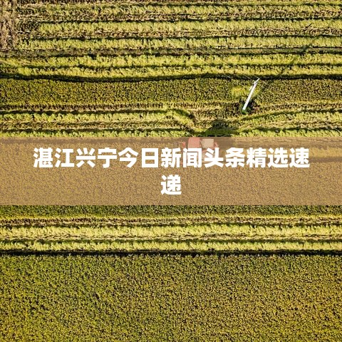 湛江兴宁今日新闻头条精选速递