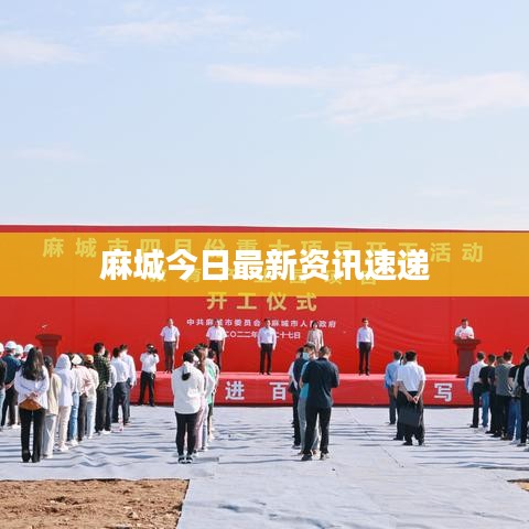 麻城今日最新资讯速递