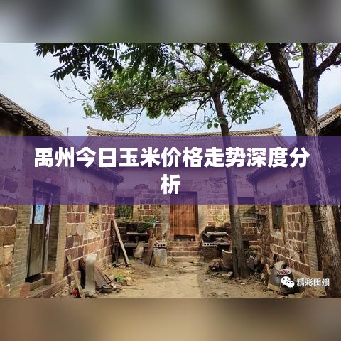 富贵逼人来 第9页