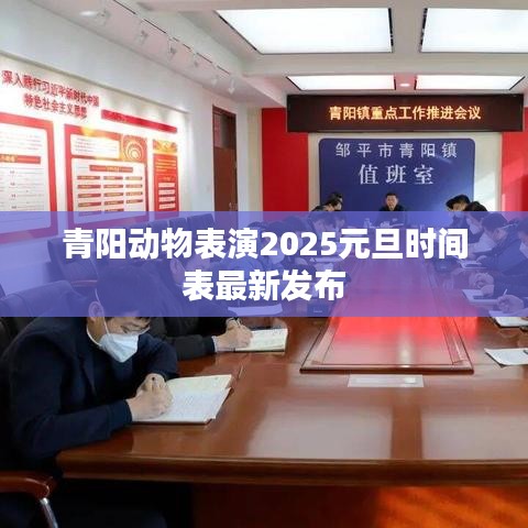 青阳动物表演2025元旦时间表最新发布