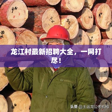 龙江村最新招聘大全，一网打尽！
