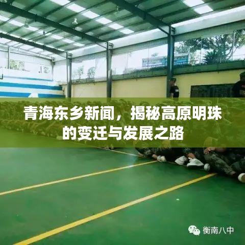 青海东乡新闻，揭秘高原明珠的变迁与发展之路