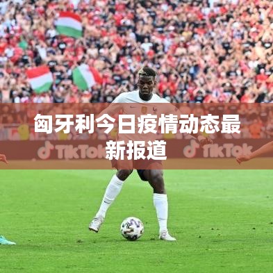 匈牙利今日疫情动态最新报道