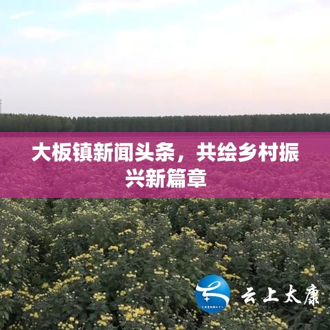 大板镇新闻头条，共绘乡村振兴新篇章