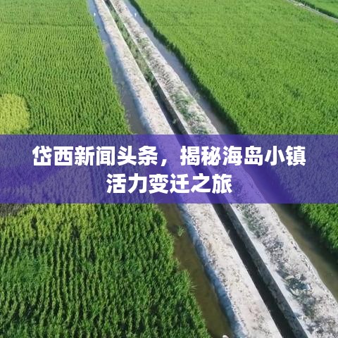 岱西新闻头条，揭秘海岛小镇活力变迁之旅