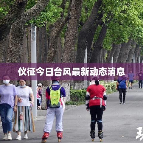 紫色蛙声 第9页