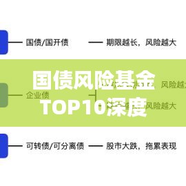 国债风险基金TOP10深度剖析