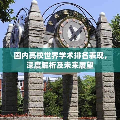 国内高校世界学术排名表现，深度解析及未来展望