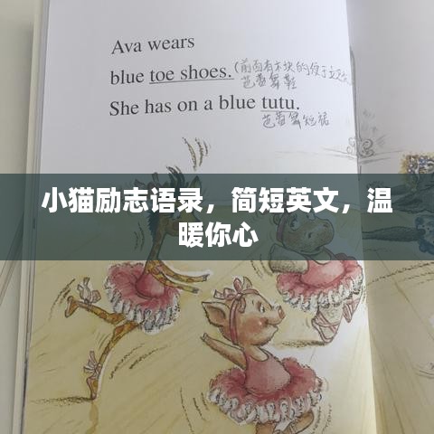 小猫励志语录，简短英文，温暖你心