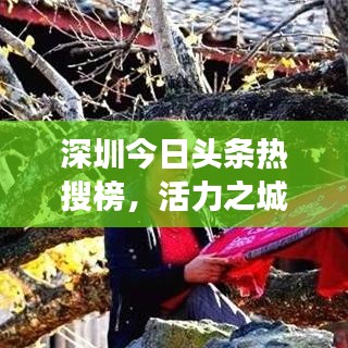 深圳今日头条热搜榜，活力之城多彩脉动全解析