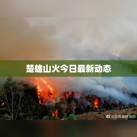 楚雄山火今日最新动态