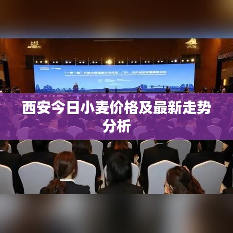西安今日小麦价格及最新走势分析