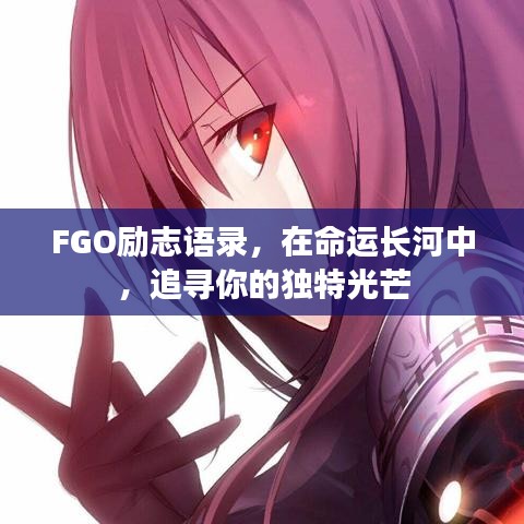 FGO励志语录，在命运长河中，追寻你的独特光芒