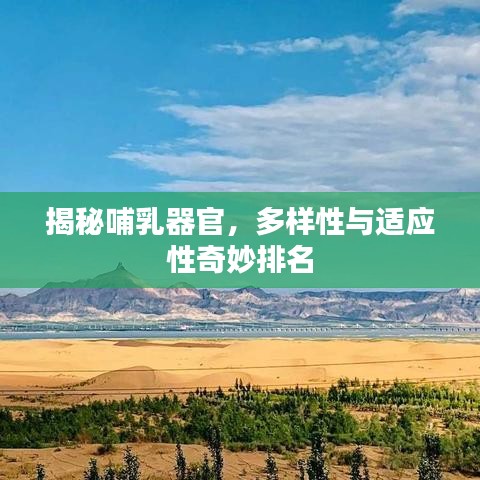 揭秘哺乳器官，多样性与适应性奇妙排名