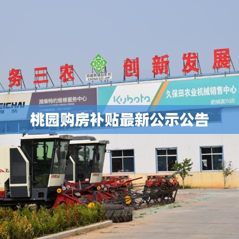 桃园购房补贴最新公示公告