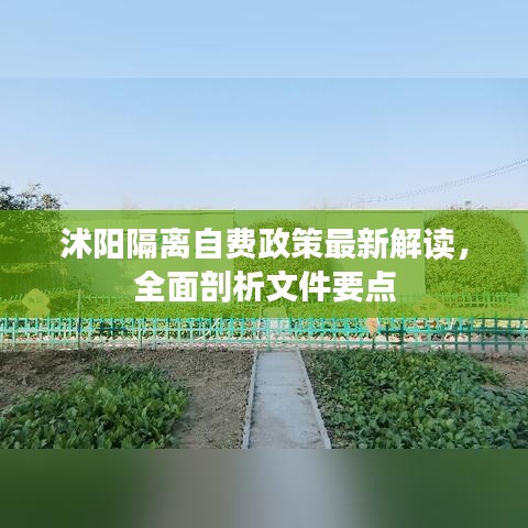 沭阳隔离自费政策最新解读，全面剖析文件要点