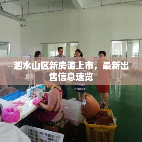 泗水山区新房源上市，最新出售信息速览