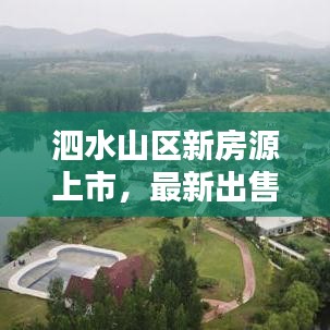 泗水山区新房源上市,最新出售信息速览