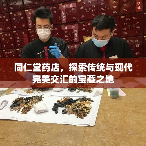 同仁堂药店，探索传统与现代完美交汇的宝藏之地