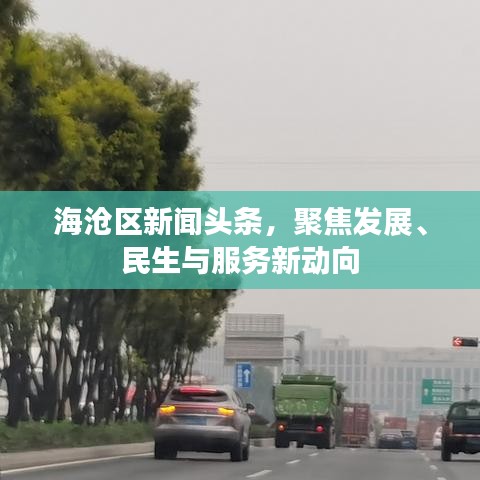 海沧区新闻头条，聚焦发展、民生与服务新动向