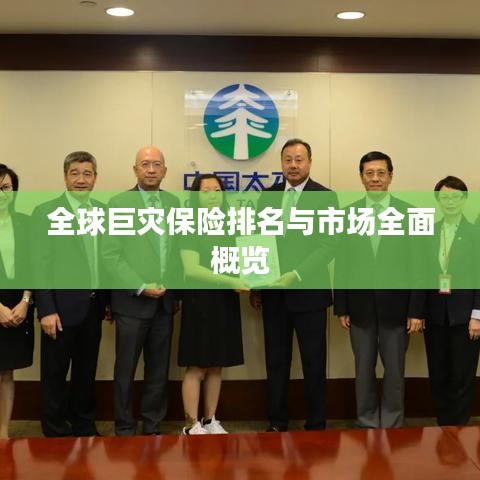 全球巨灾保险排名与市场全面概览