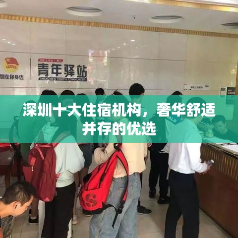 深圳十大住宿机构，奢华舒适并存的优选
