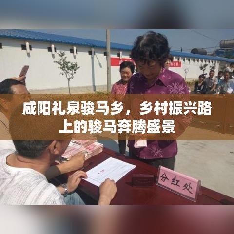 咸阳礼泉骏马乡，乡村振兴路上的骏马奔腾盛景