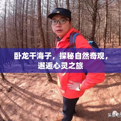 卧龙干海子，探秘自然奇观，邂逅心灵之旅