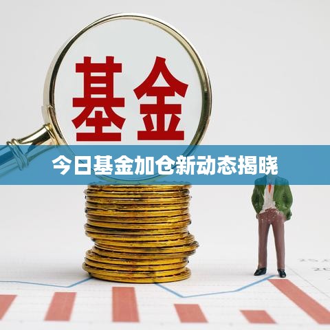 今日基金加仓新动态揭晓