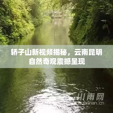 轿子山新视频揭秘，云南昆明自然奇观震撼呈现