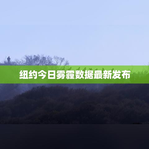 纽约今日雾霾数据最新发布