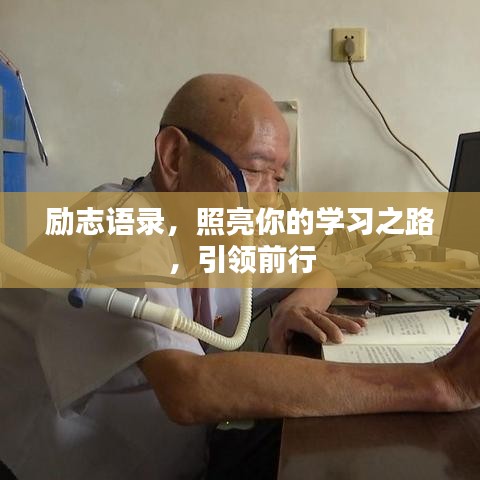 励志语录，照亮你的学习之路，引领前行